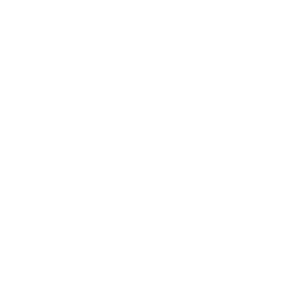 VoicesNcS